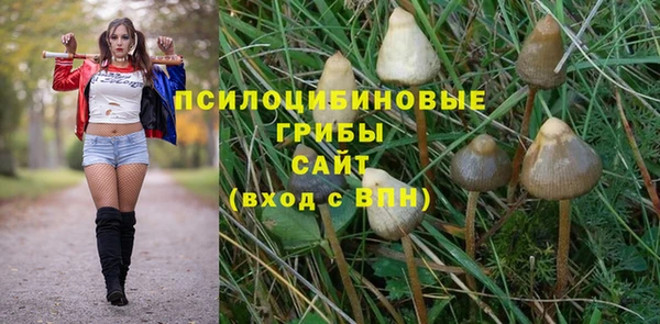 spice Алексеевка