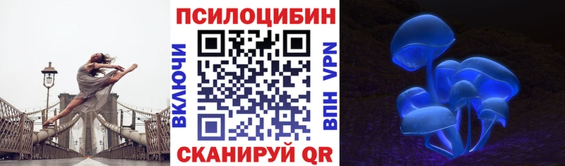 нарко площадка Telegram  гидра ссылка  Вилючинск  Галлюциногенные грибы прущие грибы 